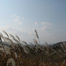 뜨락도예