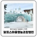 알프스마을영농조합법인 | 청양 칠갑산 얼음분수 축제 : 알프스마을영농조합법인