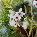 무명농장 이미지