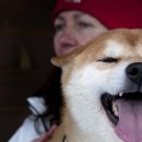 이츠펫 온양점 이미지