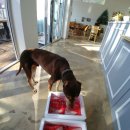 세실농장 이미지