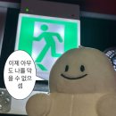 스털링 바이 뮤직맨 커틀라스 시리즈 일렉기타 입문 추천