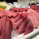 오늘참치 이미지