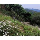 공주-07 이미지