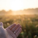 [평생학습관 - 정신건강복지센터 연계] 자살예방교육 | [2026 최신 리포트] 대한민국 10대부터 40대까지 사망원인 1위는 고의적 자해(자살)