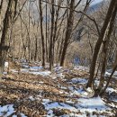 바랑골길 이미지