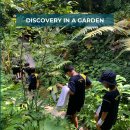 POWIIS-Year 6 students as they visited the Spice Gardens. 이미지