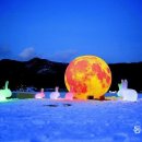 심심토끼 이미지