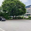 참불쭈(참살이불쭈꾸미) 이미지