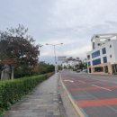 작가의산책길 이미지