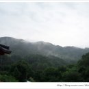 덕거별서 네이버블로그