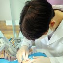 뉴욕진치과의원 | 대구 삼덕동 중학생 매복치교정 15개월차 후기 가지런이치과교정과치과의원