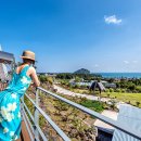 스테이인 호텔 봄 이미지