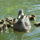 지혜의샘터 이미지