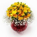 행복한날들 이미지