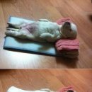 잘자 이미지