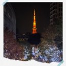 메트로센터관광안내소 | 일본여행 주의사항 총정리: 즐거운 여행을 위해 출발 전 5분만 투자하세요!