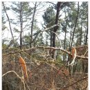 서해안농장 이미지