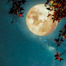 아이탑컴퓨터학원 이미지