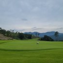 VIP골프존 이미지