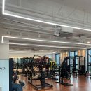 드라코짐 이미지