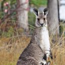 (주)웰스메디칼 이미지