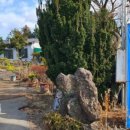 동백가든 이미지