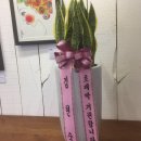 영애쌀롱