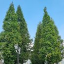 새터근린공원 이미지