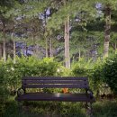 엄사근린공원 이미지