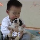 수제만두 이미지