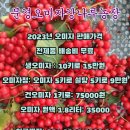 강준혁농장 Daum카페