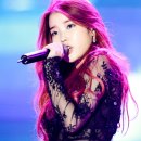 대웅장 이미지