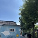 맛있는레시피 포트폴리오 | 8月~9月: 나만 놓지 못한 여름을