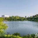 충청북도 청주시 이미지