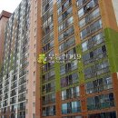 신도시시티빌아파트 이미지