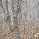 정표농장 이미지