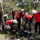 그린쇼핑센타 이미지