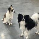 두유 개린이집 이미지