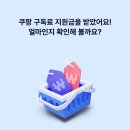 K(케이) 이미지