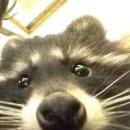 도양-2호 | 하나같이 위로 스쳐 간 인연이 꼭 너이길