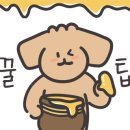 평택닭강정 칼국수 네이버블로그