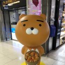 올레파머스월정