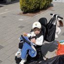 원대카플러스 | 에이블유모카플러스, 내돈내산 실사용 한달 후기