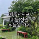 제주남원카페 머들, 정원이 같이 있어 제주도수목원으로도 추천합니다!