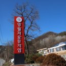 영월지오뮤지엄 이미지