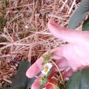 나누리농원 이미지