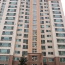 강남동로 이미지