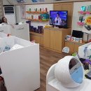 세라젬의료기 이미지