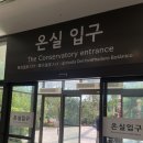 가족나들이 | 마곡 서울식물원 가족나들이 후기, 아이들과 부모님 모시고 다녀오기 좋았어요 :)
